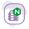 Nginx web-Servers